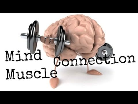 Mind-Muscle Connection